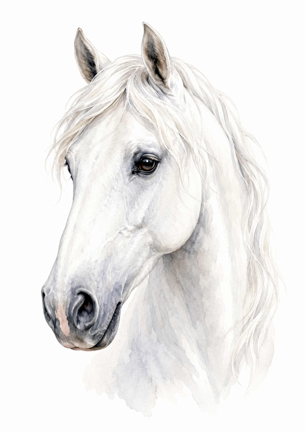 Sticker Sheet / Greeting Card – White Horse Portrait Full Cat. No. 10188
