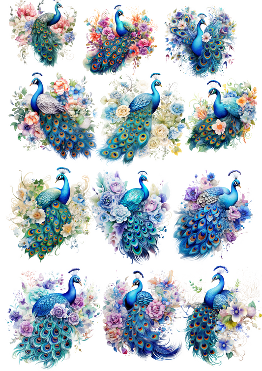 Sticker Sheet – Peacocks Collage Cat No. 4006