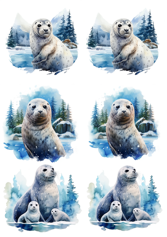 Sticker Sheet – Seal in Winter Collage Cat No. 4012