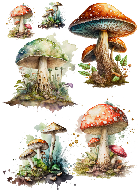 Sticker Sheet – Wild Mushrooms Collage Cat No. 4105