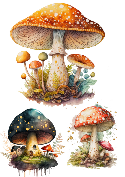 Sticker Sheet – Wild Mushrooms 2 Collage Cat No. 4106