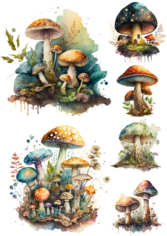 Sticker Sheet – Wild Mushrooms 3 Collage Cat No. 4107