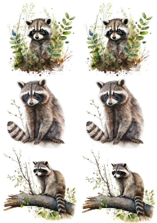 Sticker Sheet – Raccoon Watercolor Collage Cat No. 4189