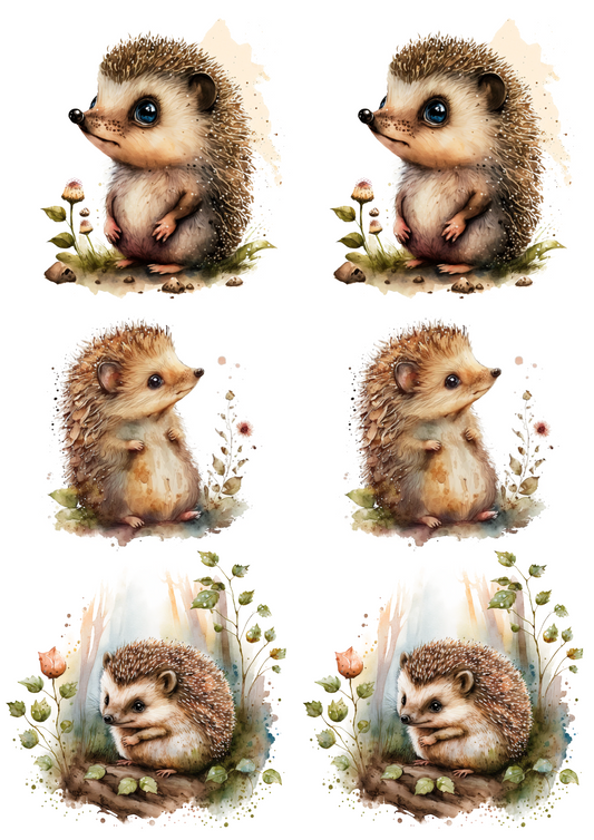 Sticker Sheet – Hedgehog 2 Watercolor Collage Cat No. 4191