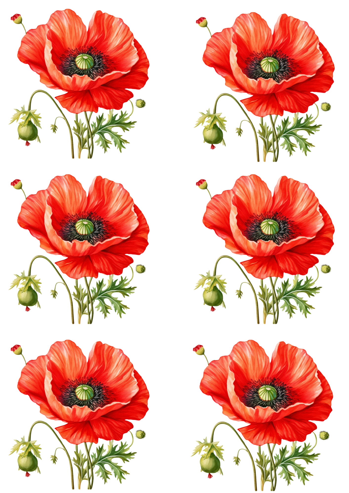 Sticker Sheet / Greeting Card – Red Poppies Collage Cat. No.4256