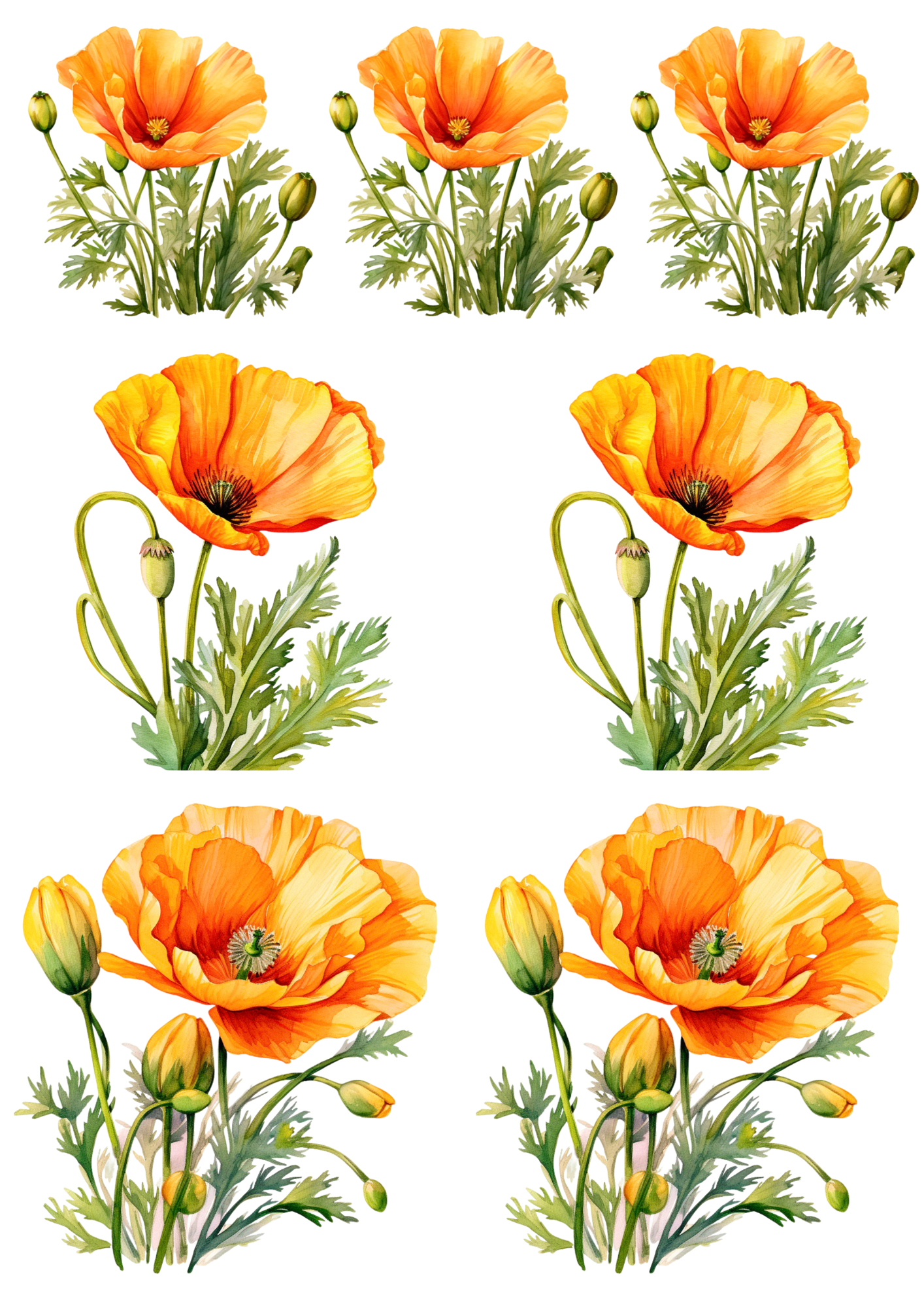 Sticker Sheet / Greeting Card – Yellow Poppies Collage Cat. No.4258