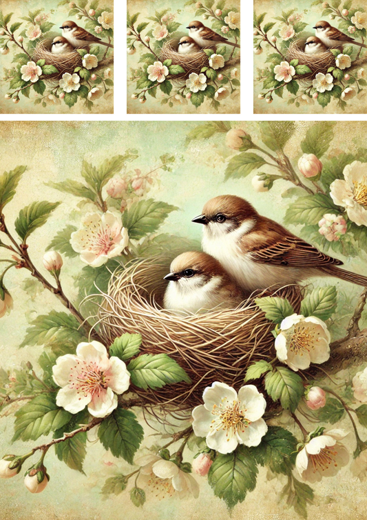 Sticker Sheet – Sparrows In A Nest Among Flowers Schabby Chic Collage Cat. No. 4285