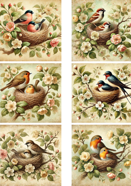 Sticker Sheet – Birds In A Nest Among Flowers Mix Schabby Chic Collage Cat. No. 4287