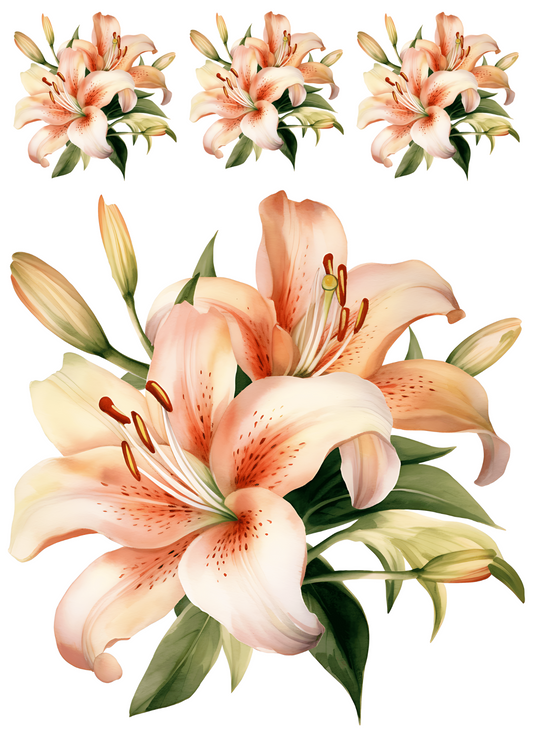 Sticker Sheet – Lilies Collage Cat. No. 4445