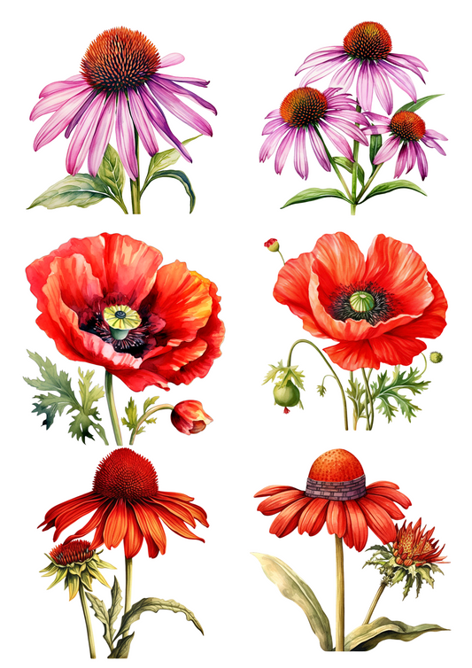 Sticker Sheet – Red Poppies And Other Wildflowers Collage Cat. No. 4466