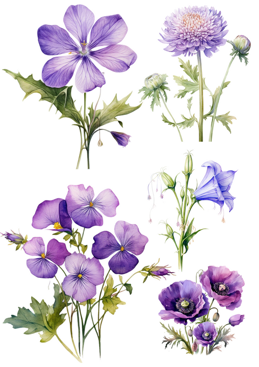 Sticker Sheet – Purple Meadow Flowers Collage Cat. No. 4469