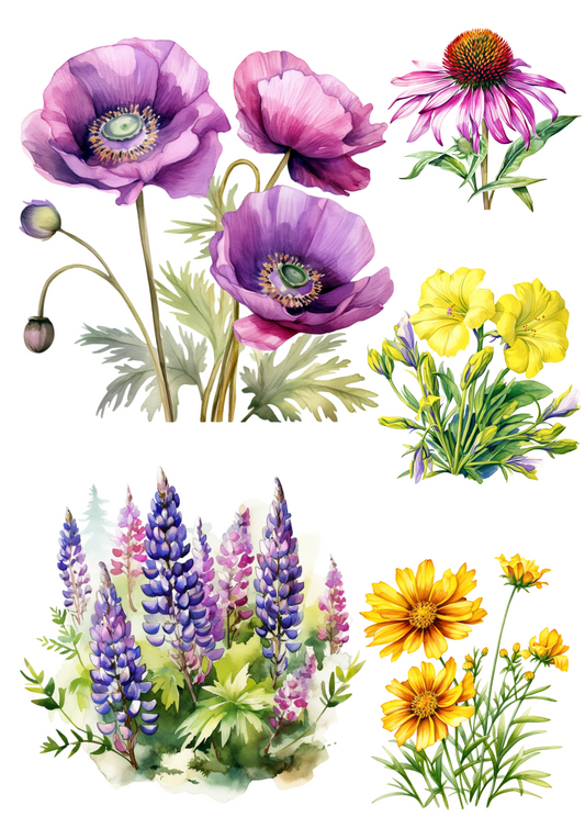 Sticker Sheet – Various Meadow Flowers Collage Cat. No. 4470
