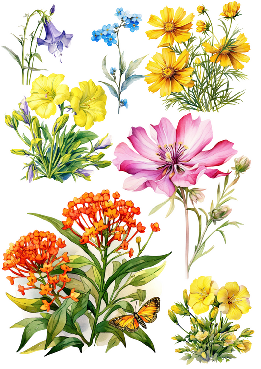 Sticker Sheet – Various Meadow Flowers 2 Collage Cat. No. 4471
