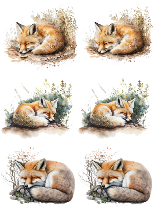 Sticker Sheet – Fox Collage Cat. No. 4507
