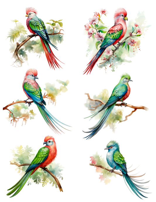 Sticker Sheet – Birds of Paradise Exotic Collage Cat. No. 4519
