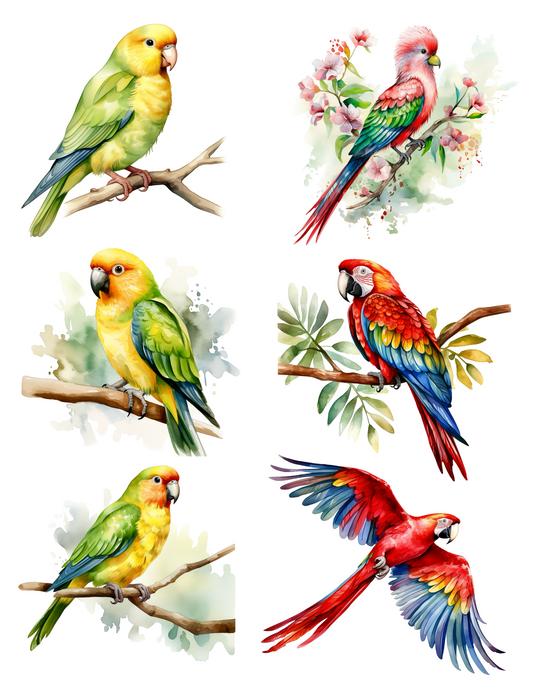 Sticker Sheet – Exotic Parrots Collage Cat. No. 4520