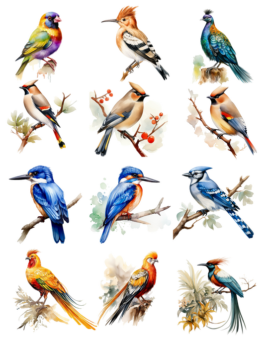 Sticker Sheet – Birds Various Collage Cat. No. 4524