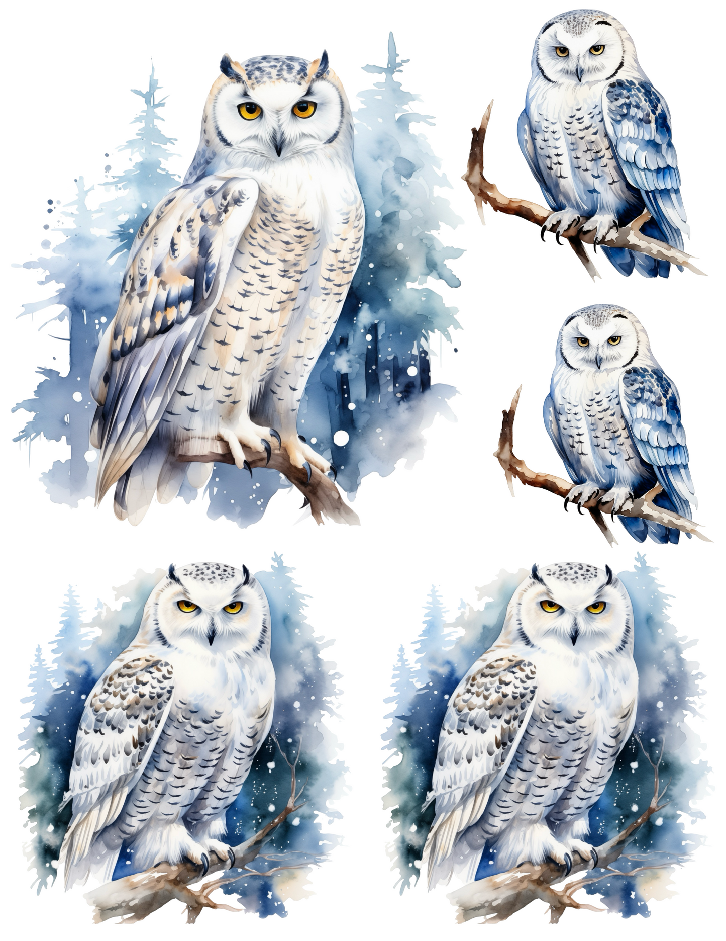 Sticker Sheet / Greeting Card – Owl Collage Cat. No. 4526
