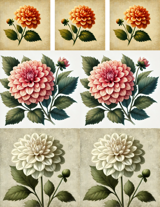 Sticker Sheet – Colorful Dahlias Collage Cat. No. 4555