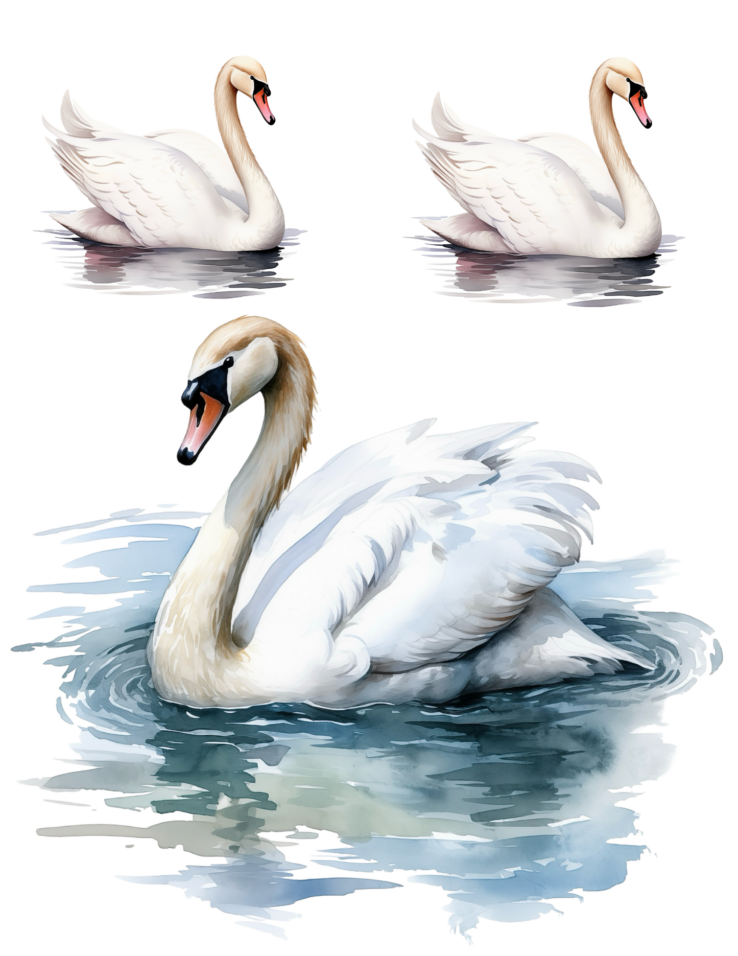 Sticker Sheet / Greeting Card – Swan Collage Cat. No. 4577