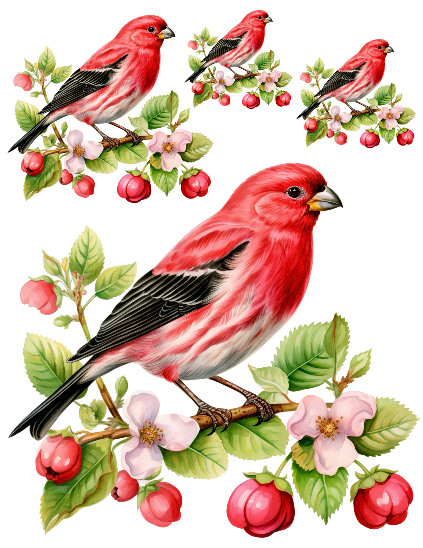 Sticker Sheet / Greeting Card – Red Bird Collage Cat. No. 4578