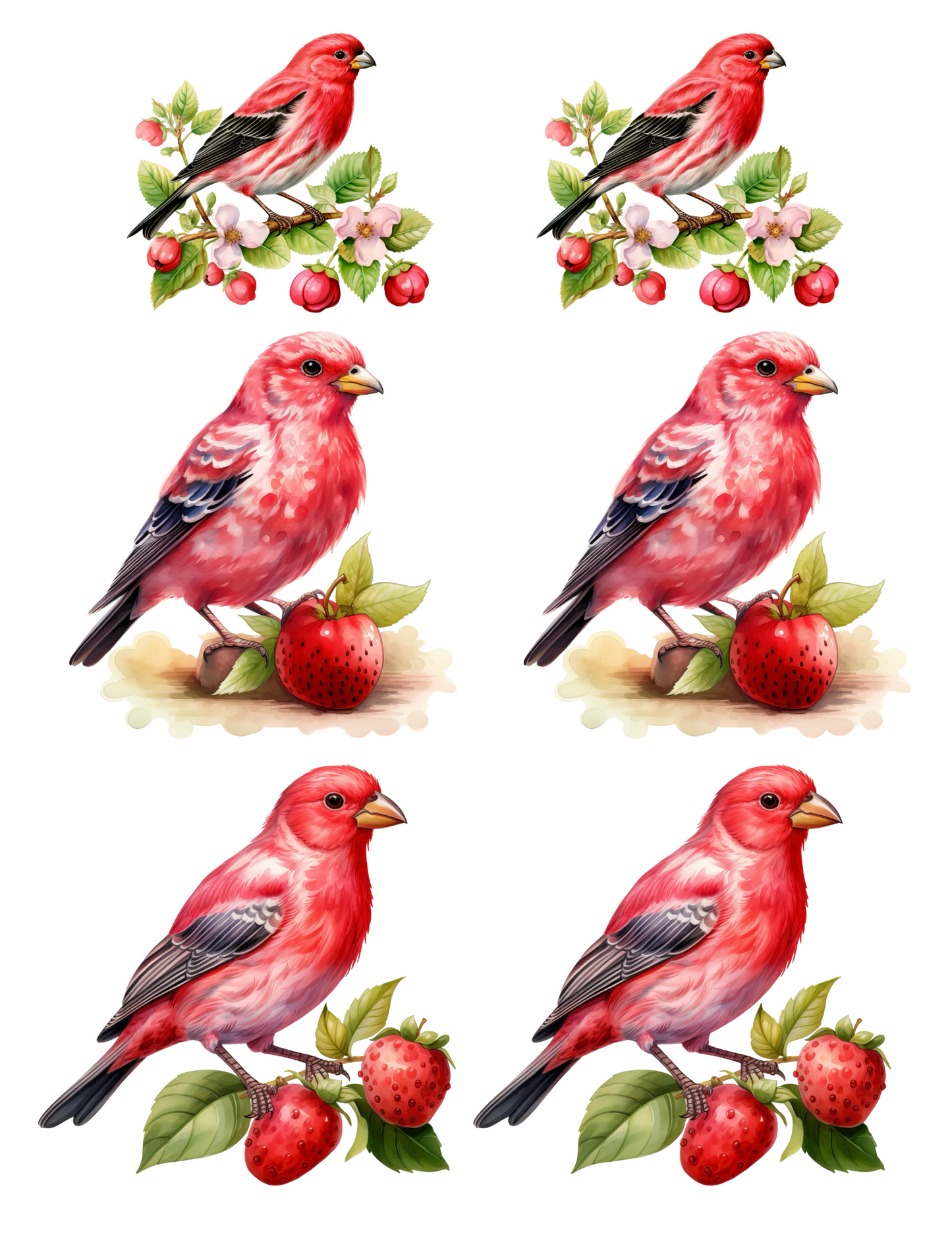 Sticker Sheet / Greeting Card – Red Bird 2 Collage Cat. No. 4579