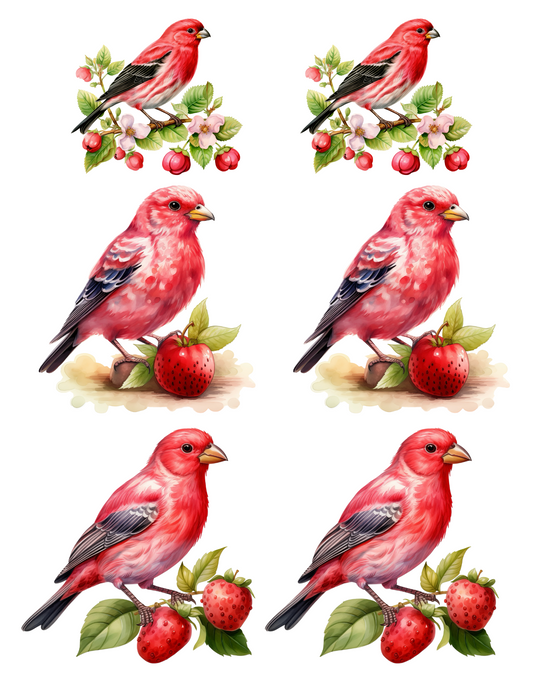 Sticker Sheet – Red Bird 2 Collage Cat. No. 4579