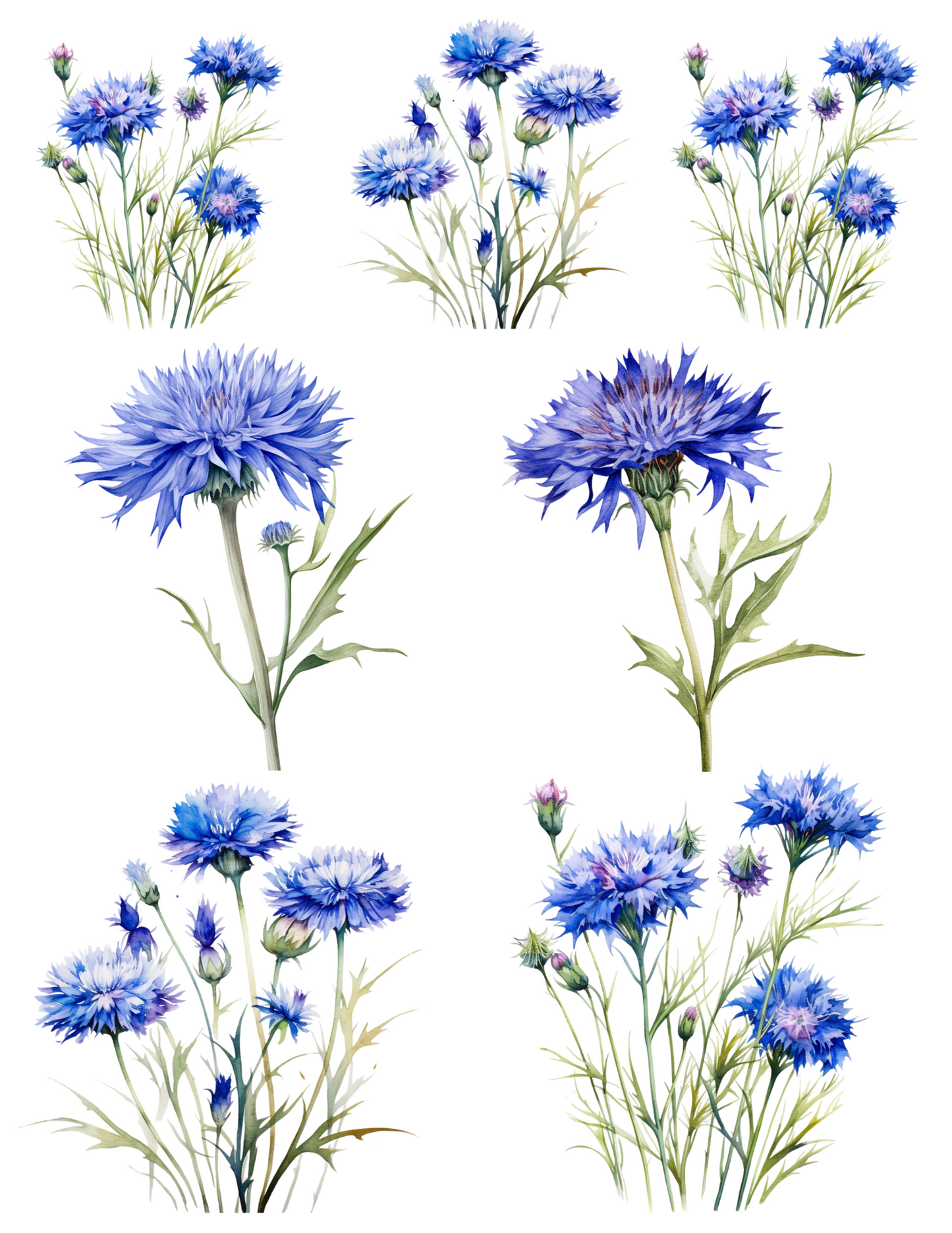Sticker Sheet / Greeting Card – Cornflowers Collage Cat. No. 4583