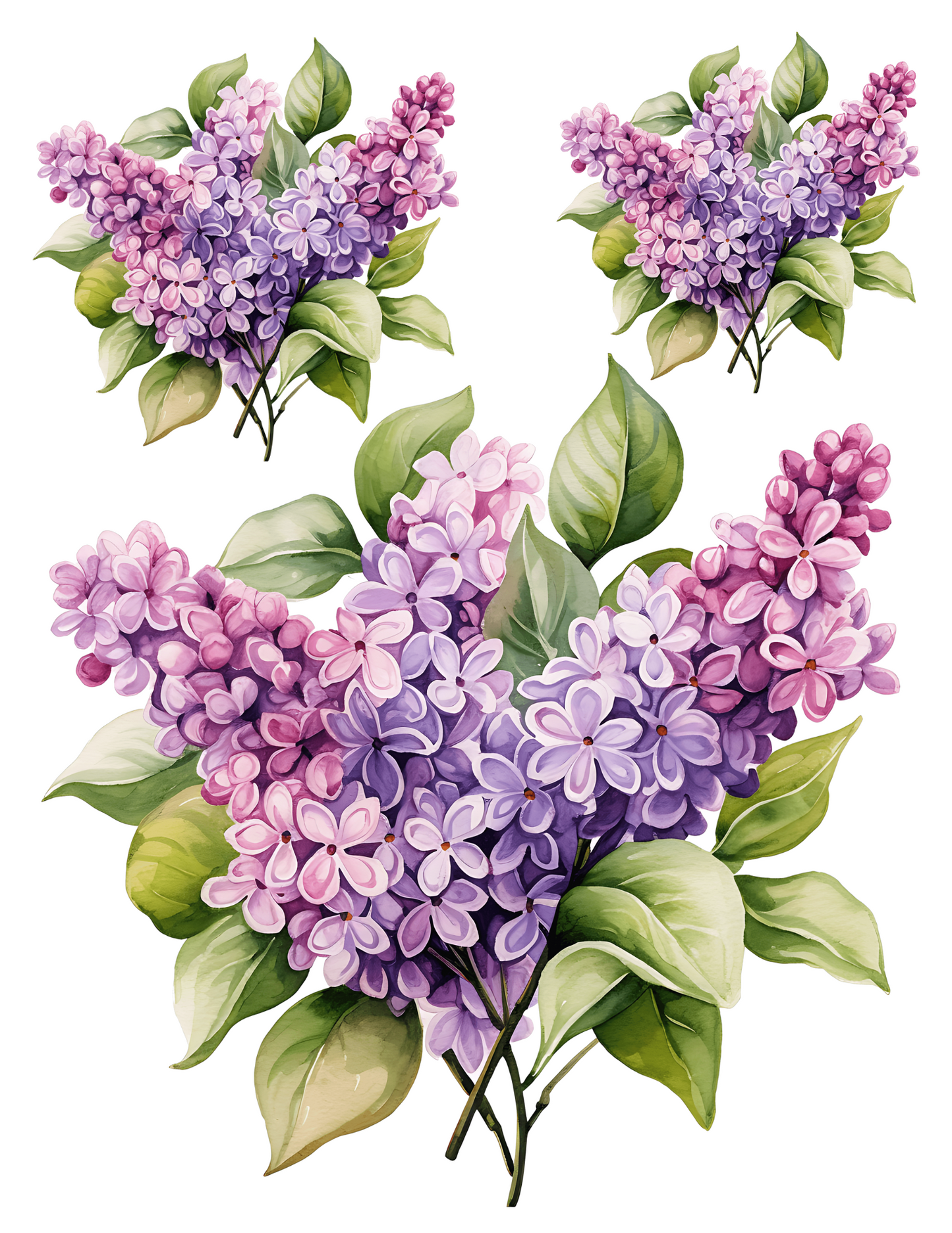 Sticker Sheet / Greeting Card – Lilac Branches Collage Cat. No. 4587