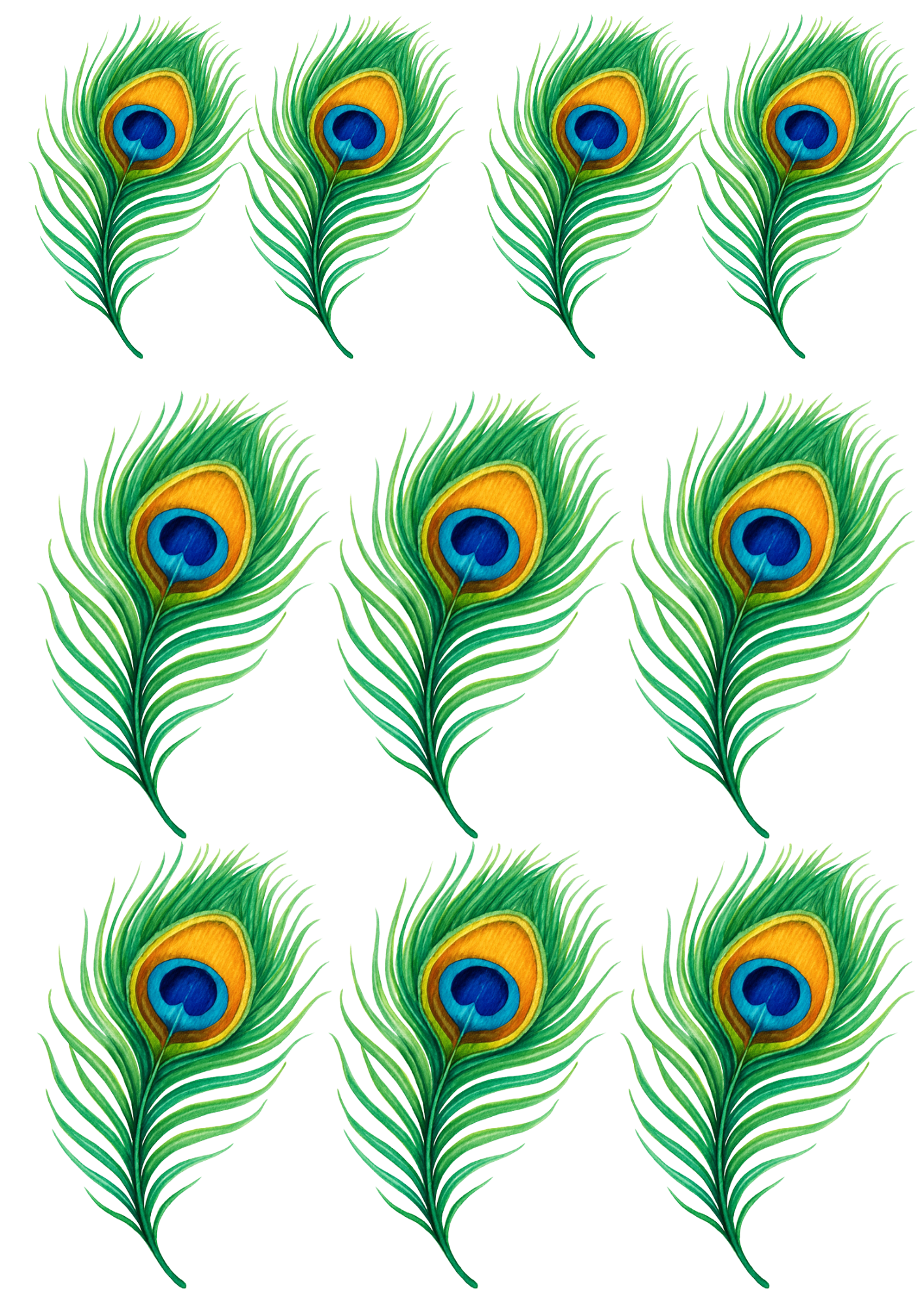 Sticker Sheet / Greeting Card – Peacock Feather Collage Cat. No. 4719