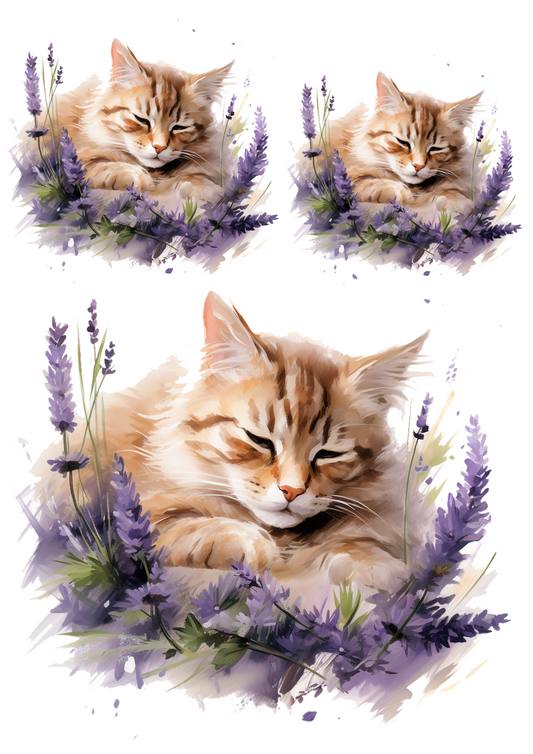 Sticker Sheet – Sleeping Cat In Lavender Collage Cat. No. 4788