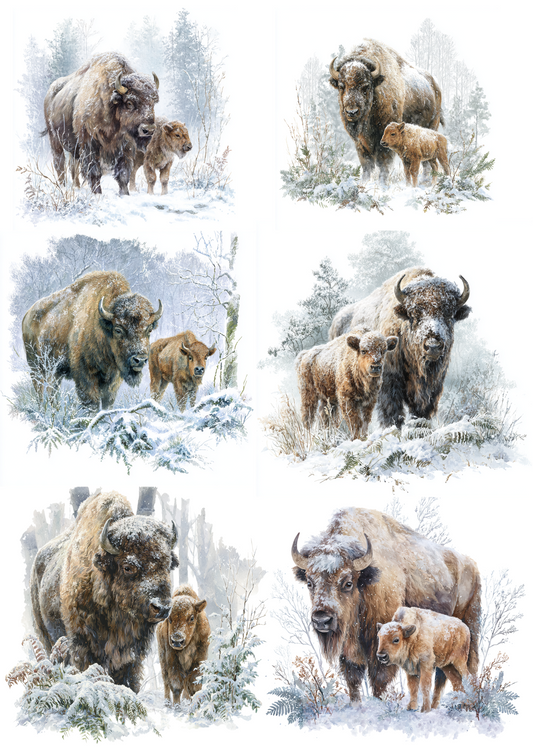 Sticker Sheet – European Bison in Winter Collage Cat. No. 4880