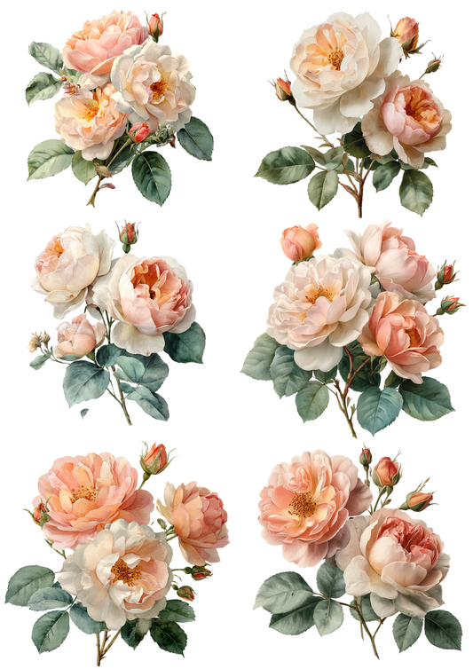 Sticker Sheet English Roses Collage Cat. No. 4887