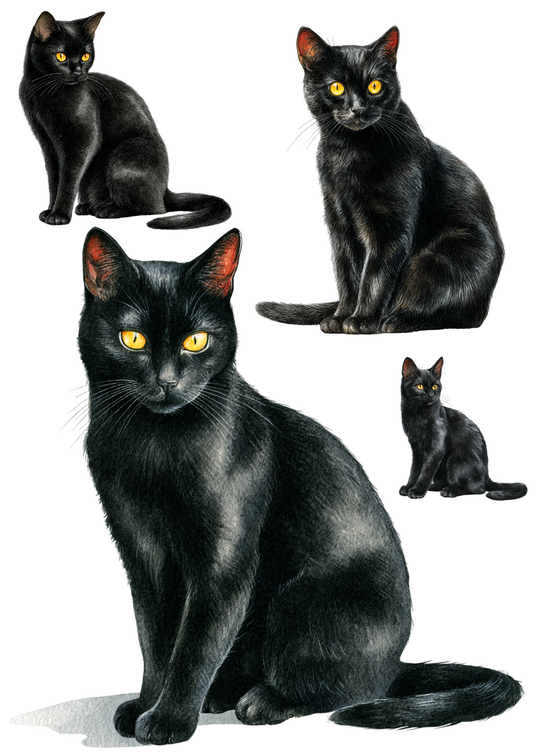 Sticker Sheet – Black Cat Collage Cat. No. 4888