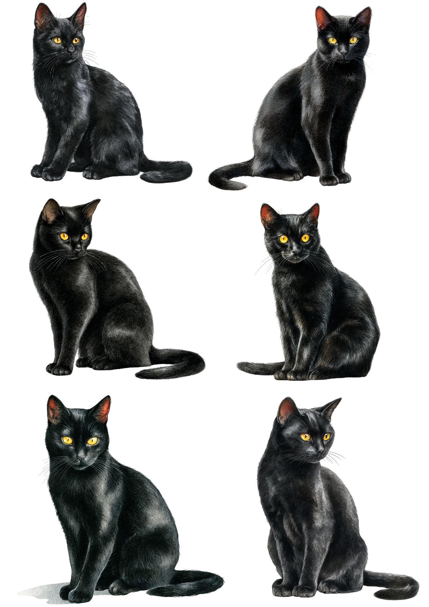 Sticker Sheet / Greeting Card – Black Cat Collage Cat. No. 4889