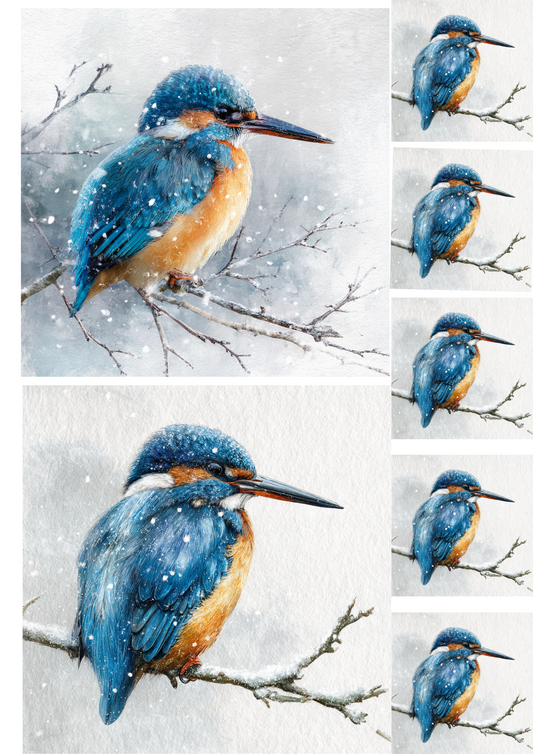 Sticker Sheet – Kingfisher Collage Cat. No. 4900