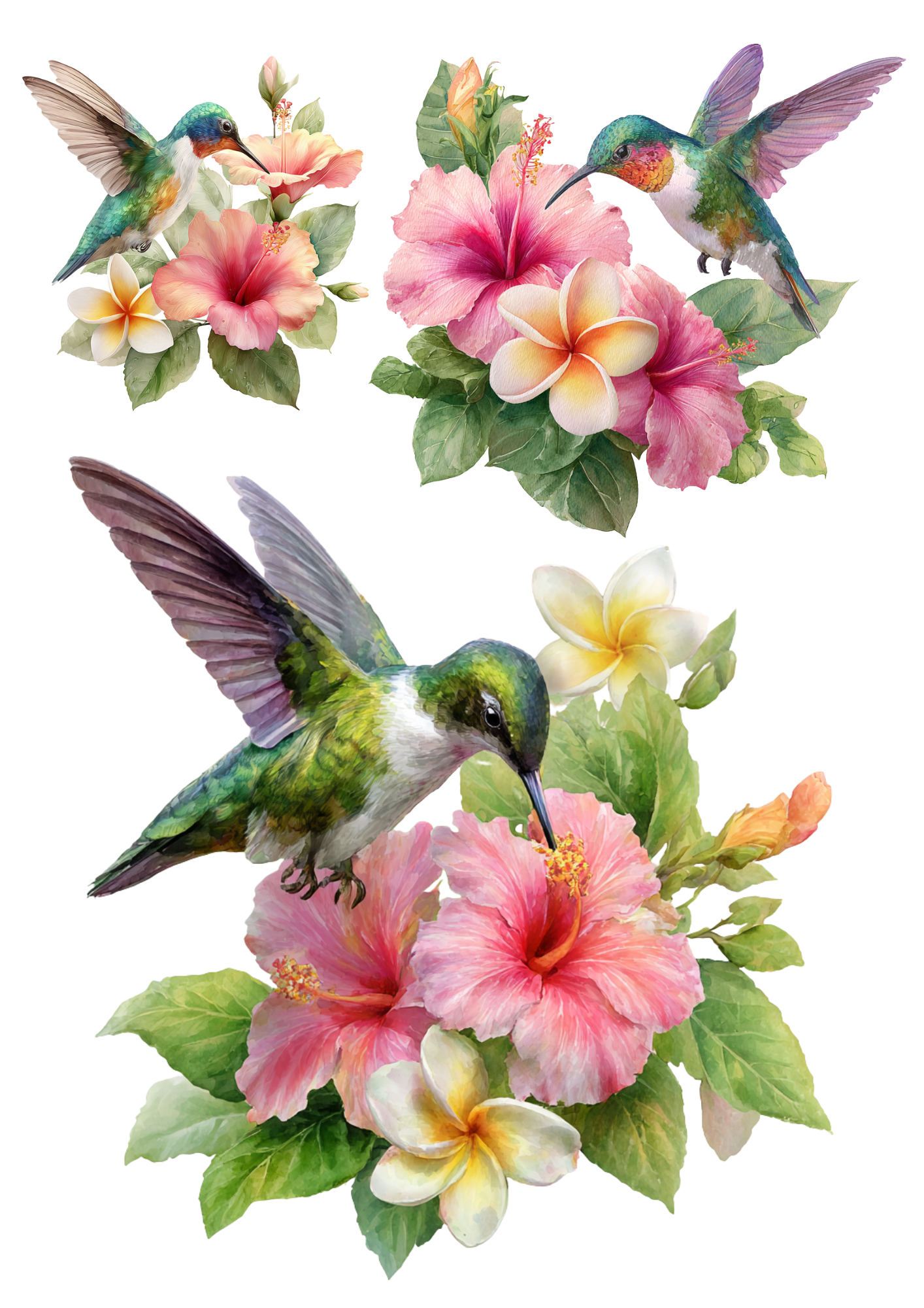 Sticker Sheet / Greeting Card – Hummingbird Over Hibiscus Collage Cat. No. 4918