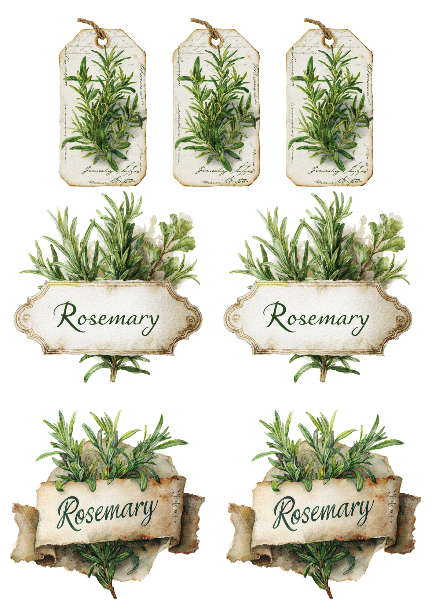 Sticker Sheet / Greeting Card – Rosemary Collage Cat. No. 4946