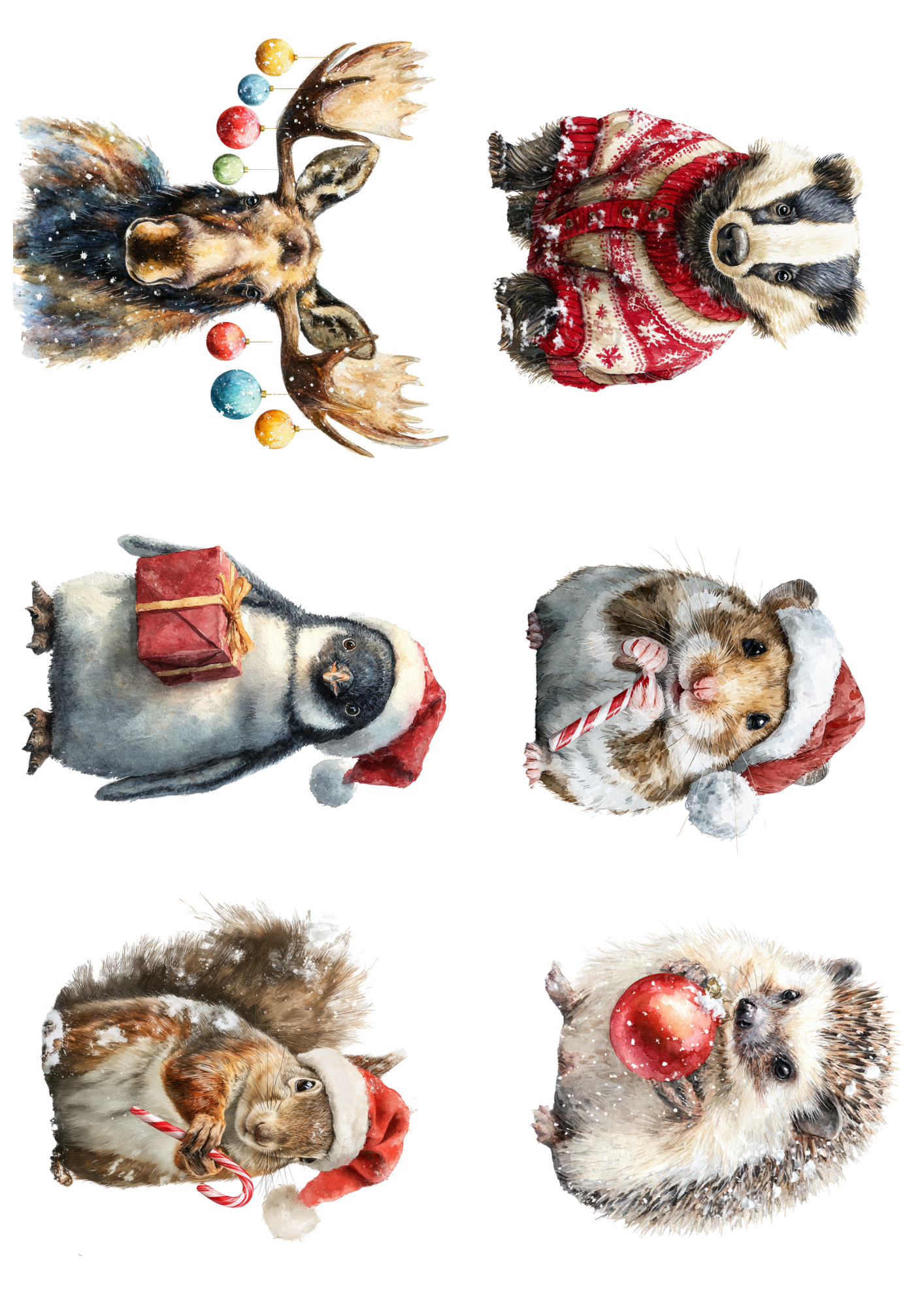 Sticker Sheet / Greeting Card – Christmas Animals Collage Cat. No. 5008