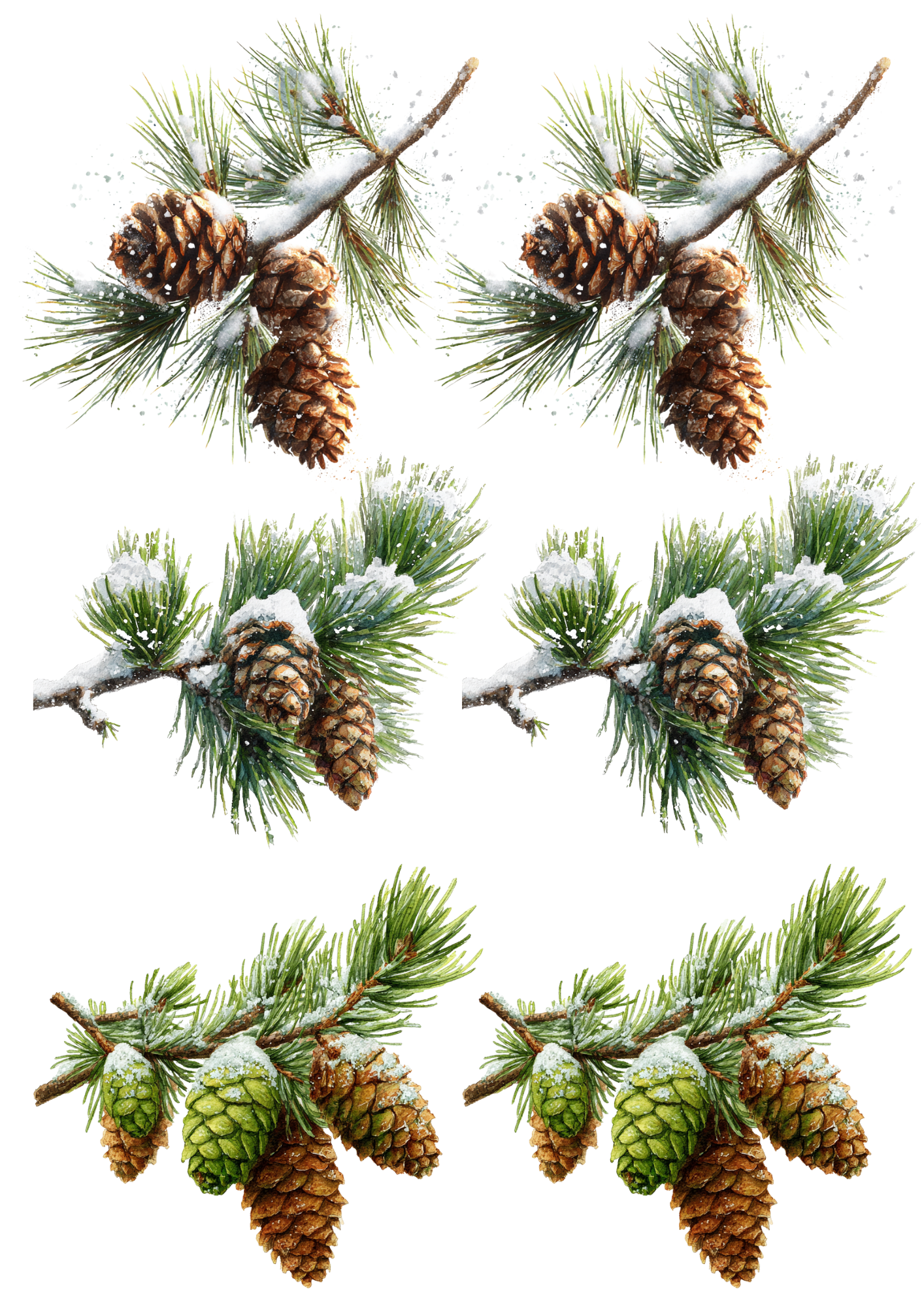 Sticker Sheet / Greeting Card – Pine Cones Collage Cat. No. 5009