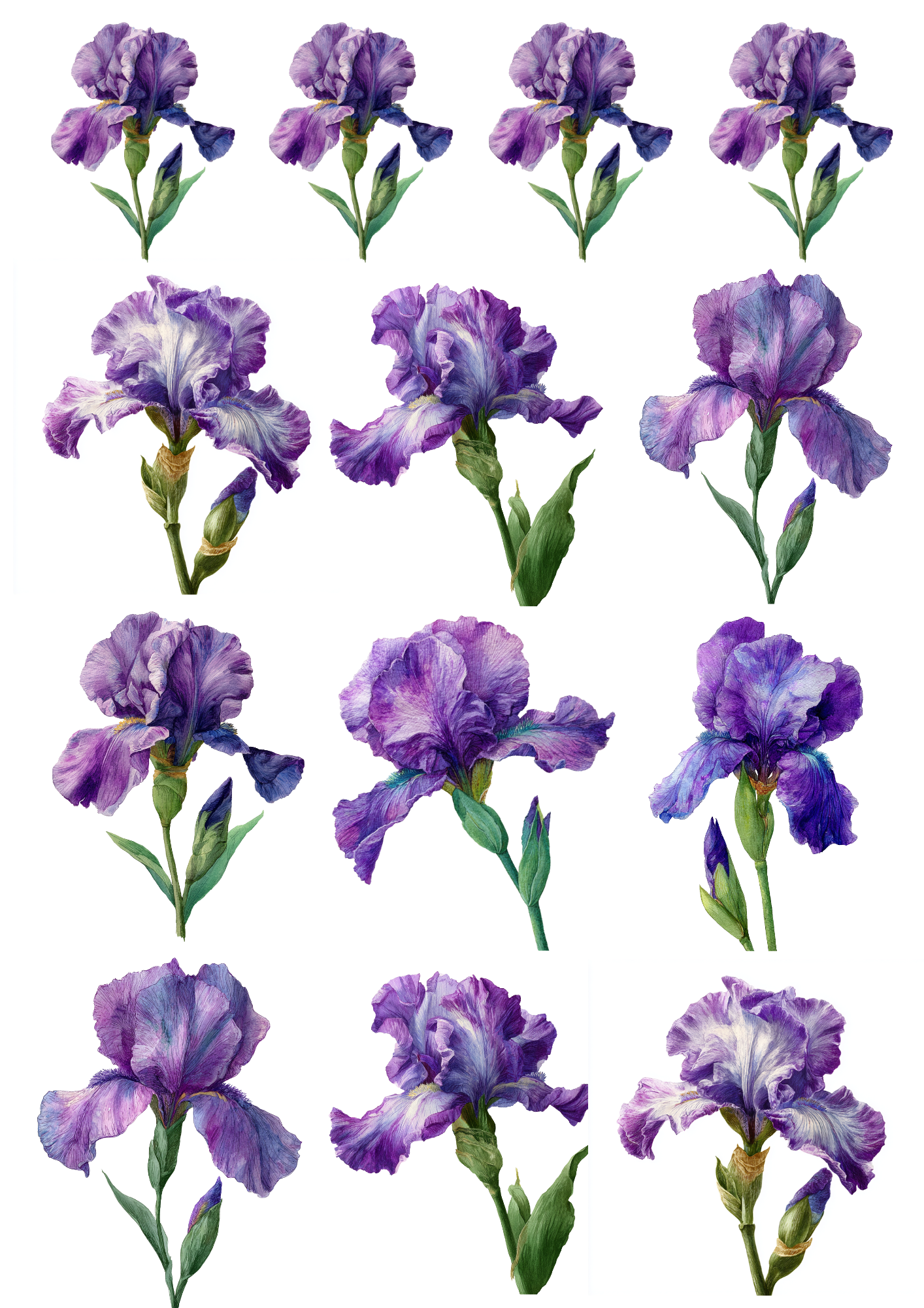 Sticker Sheet / Greeting Card – Purple Iris Collage Cat. No. 5027