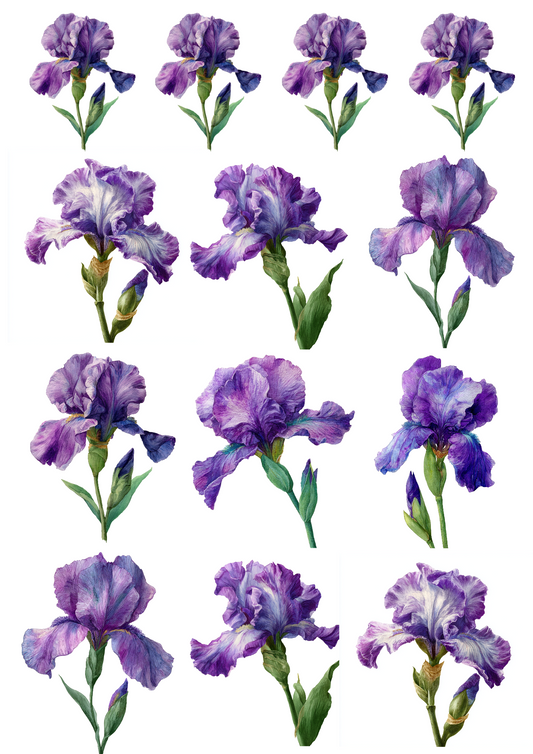 Sticker Sheet – Purple Iris Collage Cat. No. 5027
