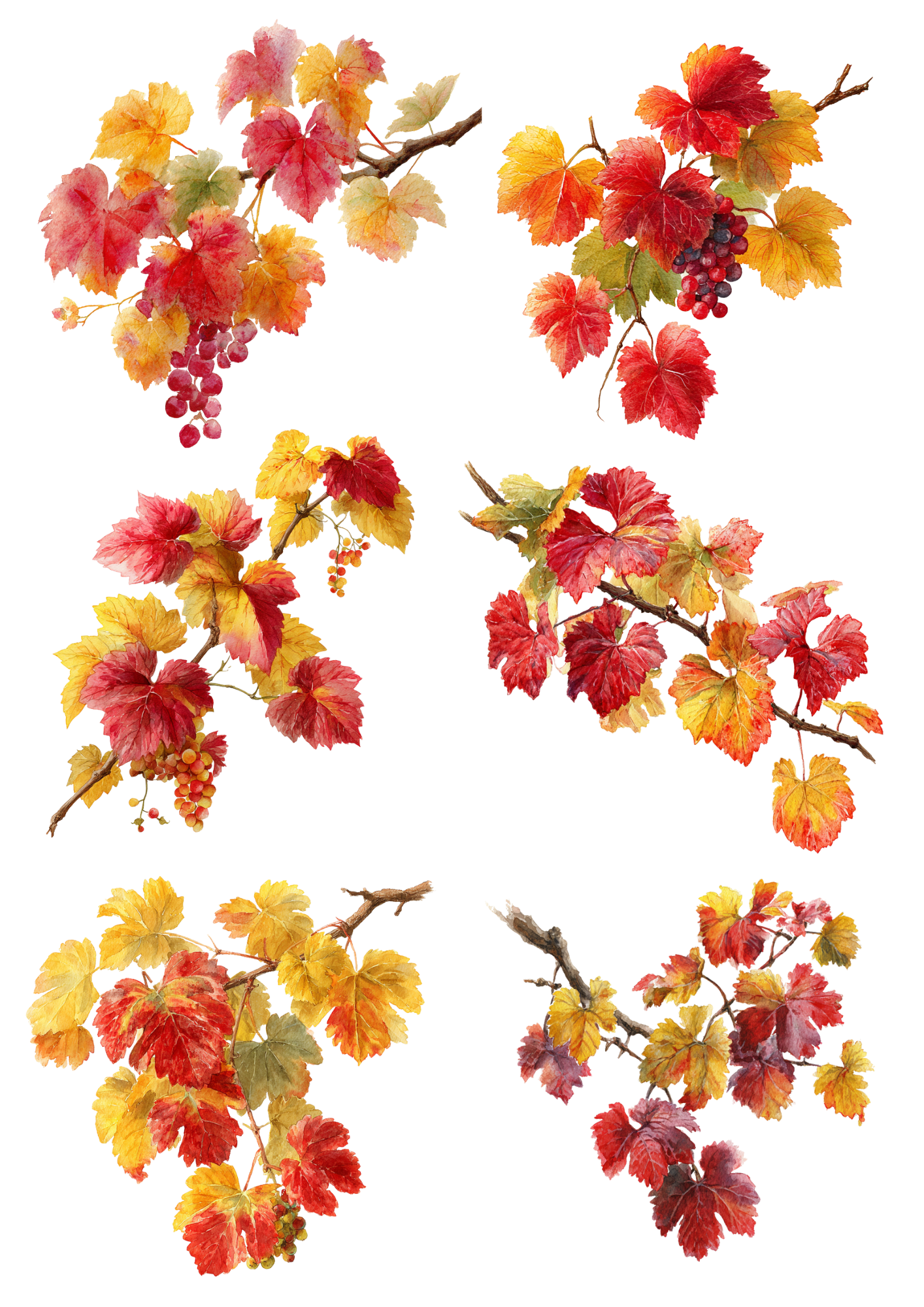 For Decoupage Grape Branches Collage – A4 sticker sheet – ArtClipStick