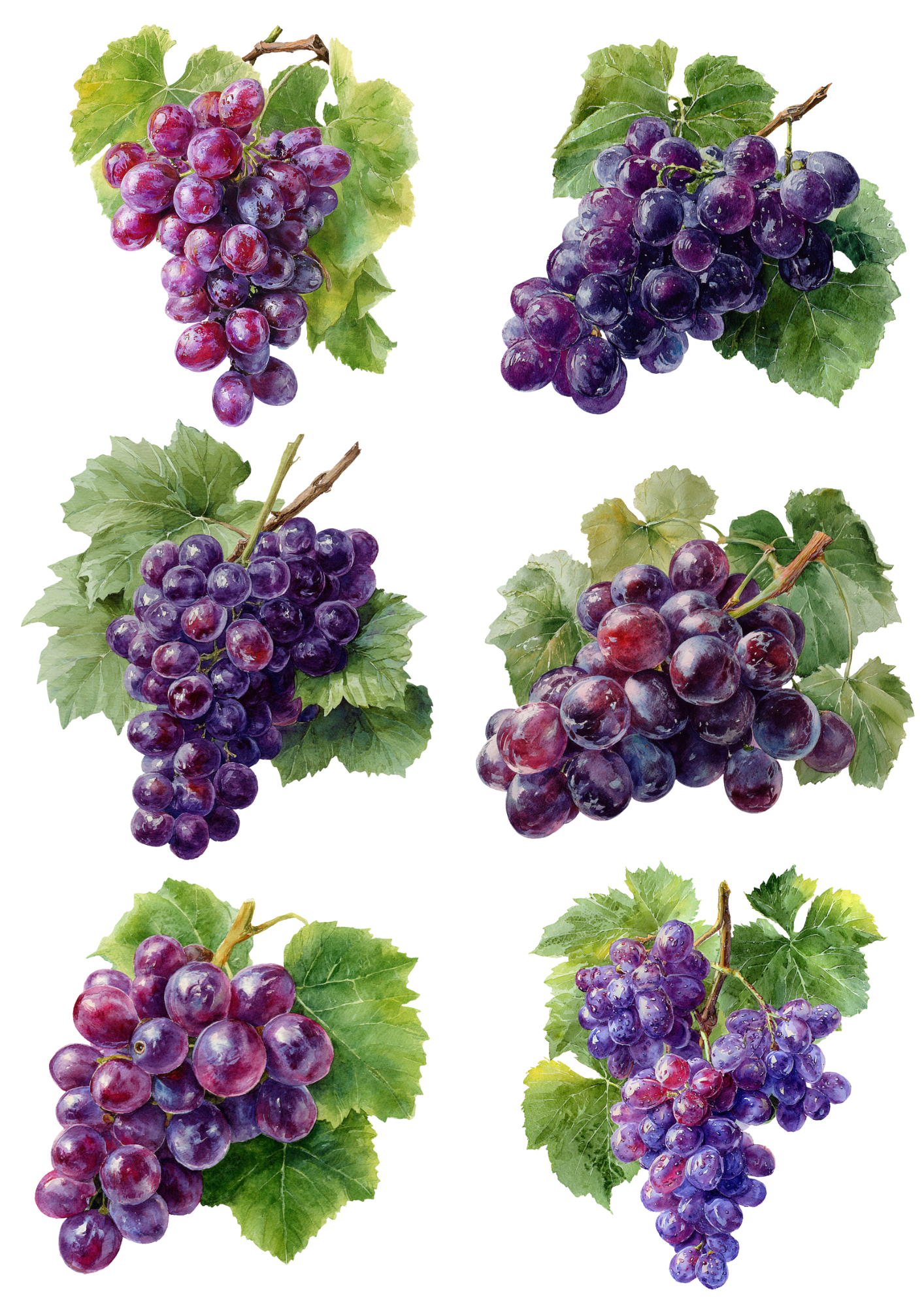 For Decoupage Grape Branches Collage – A4 sticker sheet – ArtClipStick
