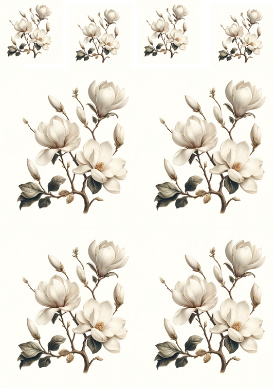 Stickerbogen – Weiße Magnolien, Kat. Nr. 634