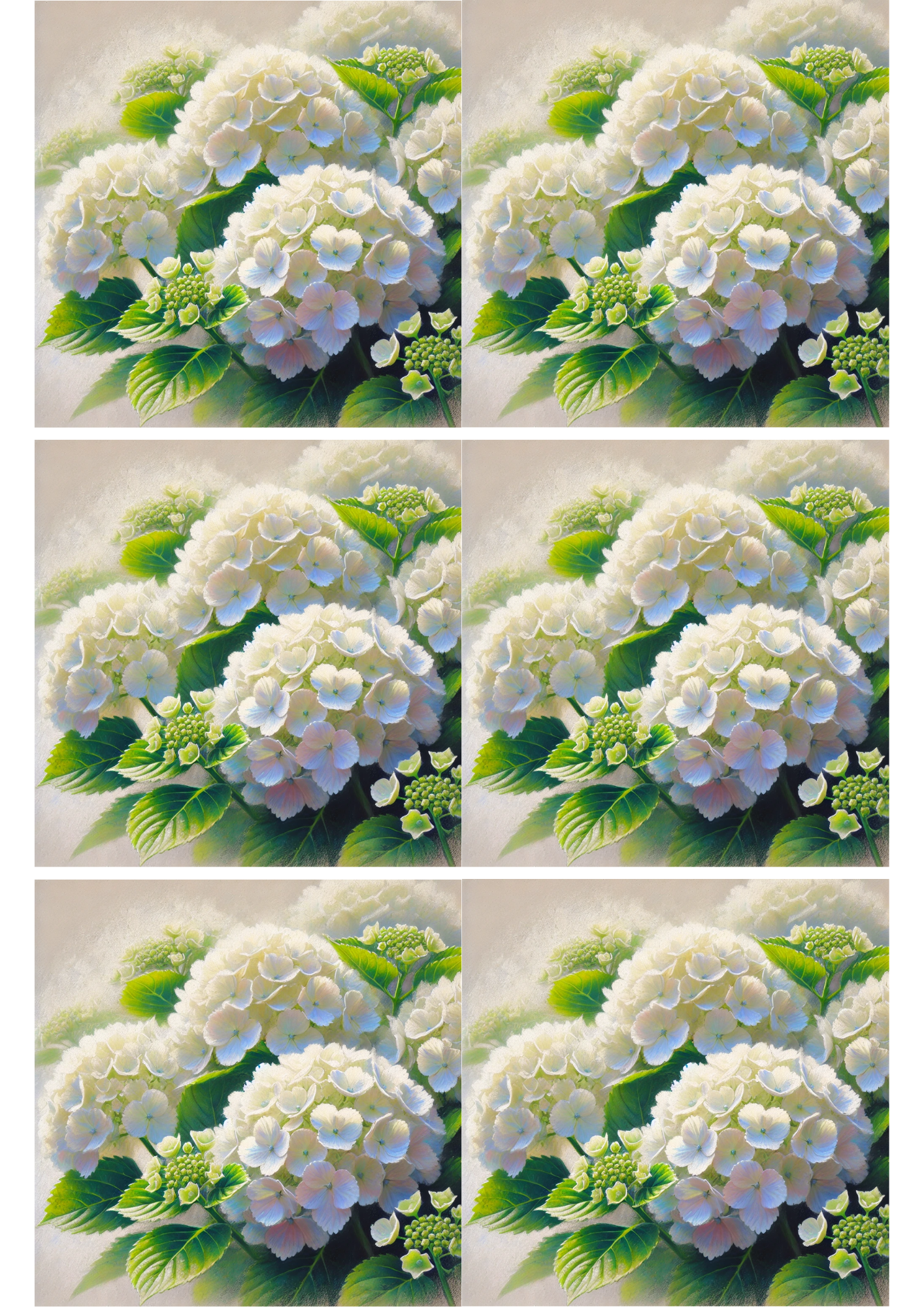 Sticker Sheet / Greeting Card – White Hydrangeas Collage Cat. No. 1852