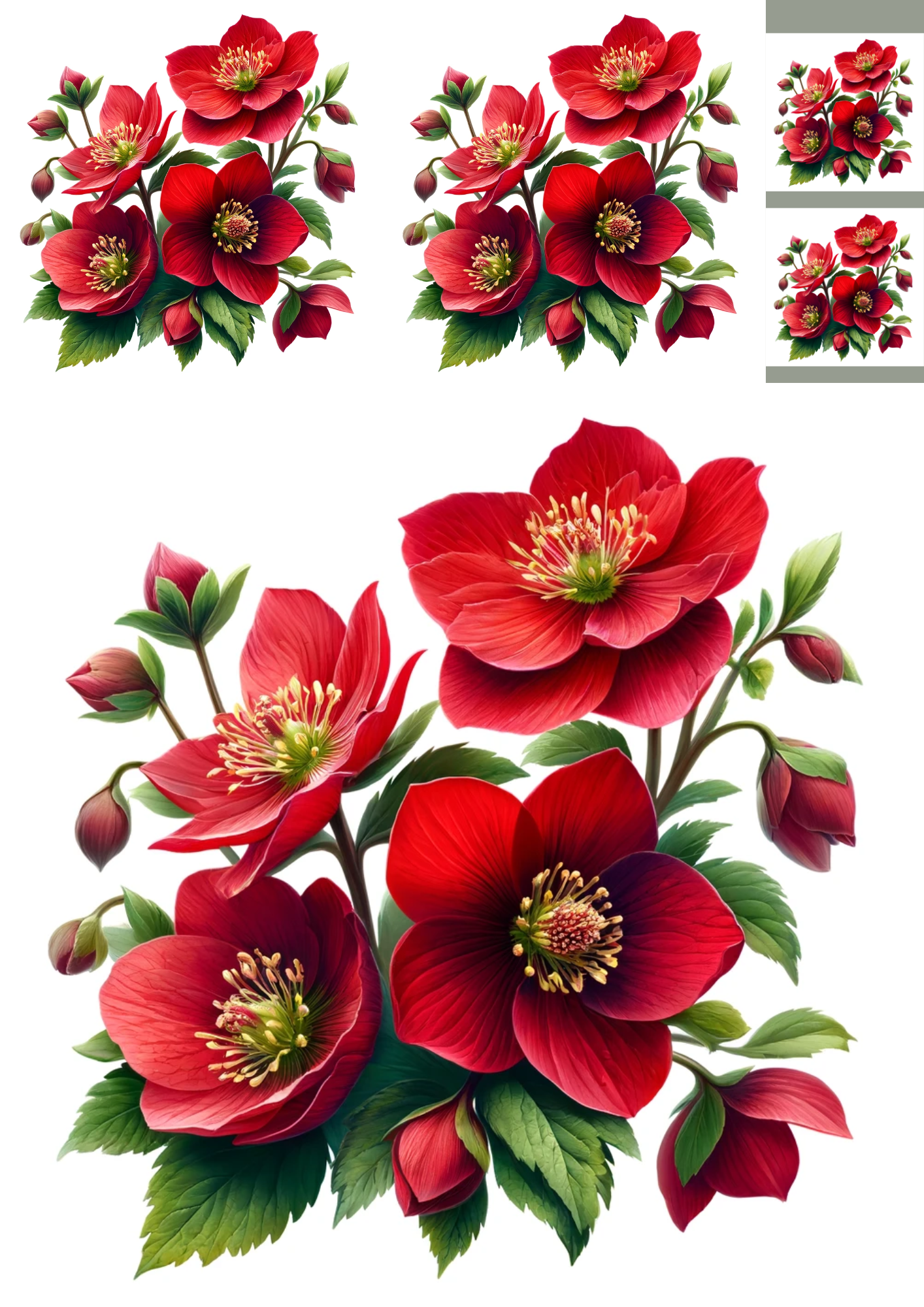 Sticker Sheet / Greeting Card – Red Hellebores Collage Cat No. 1015