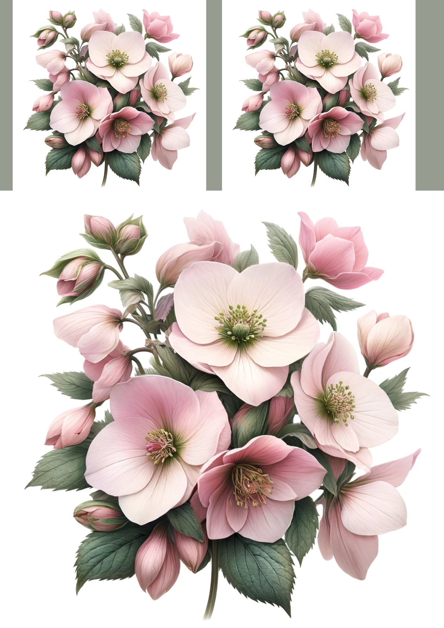 Sticker Sheet / Greeting Card – Pink Hellebores Collage Cat No. 1021