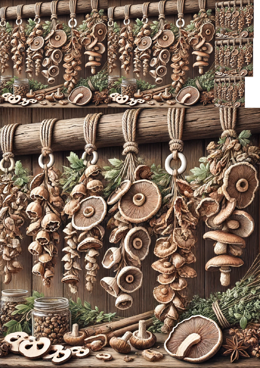 Sticker Sheet – Dried Mushrooms Collage Cat. No. 1192