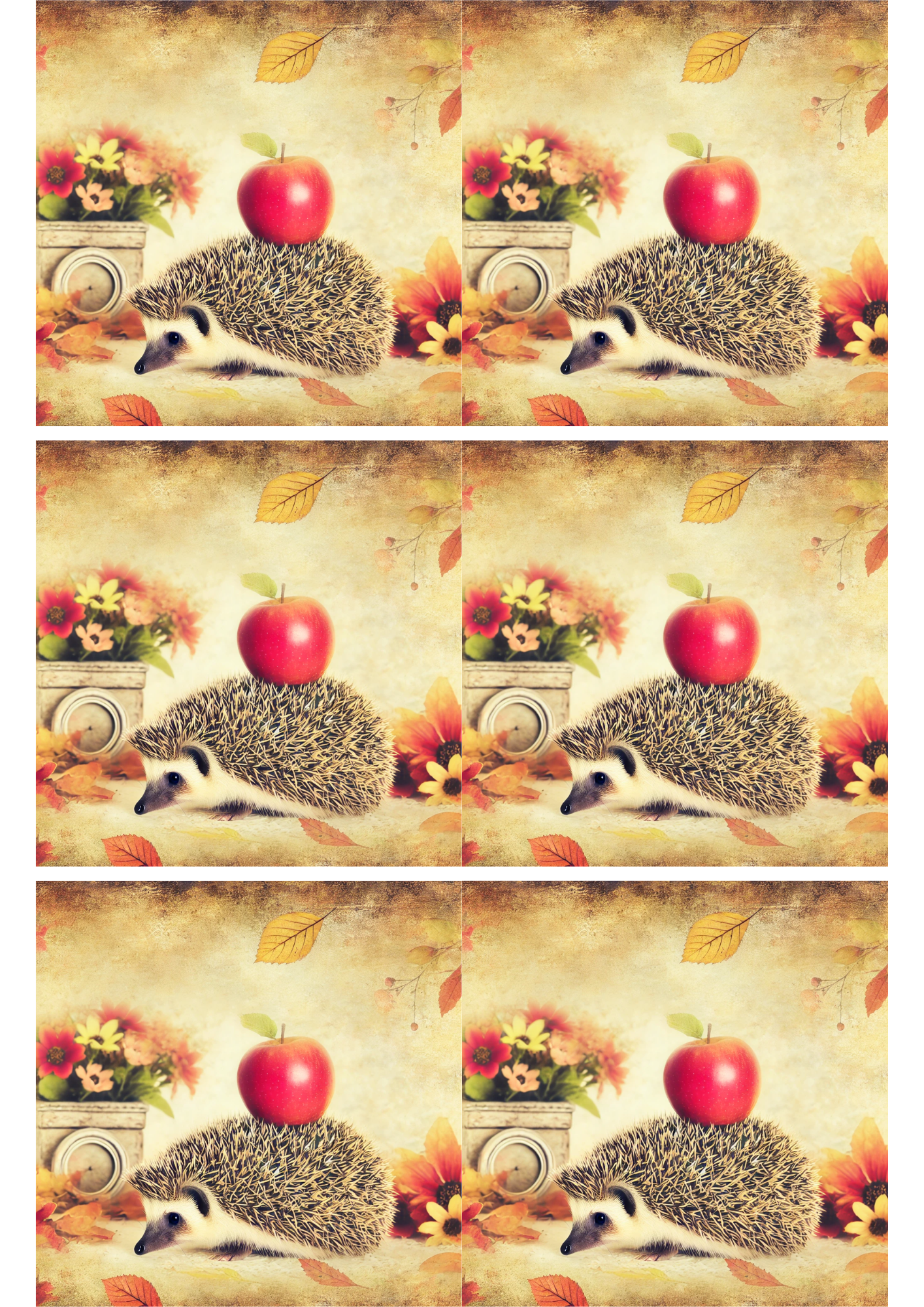 Sticker Sheet / Greeting Card – Hedgehog and Apple Collage Cat. No. 2585